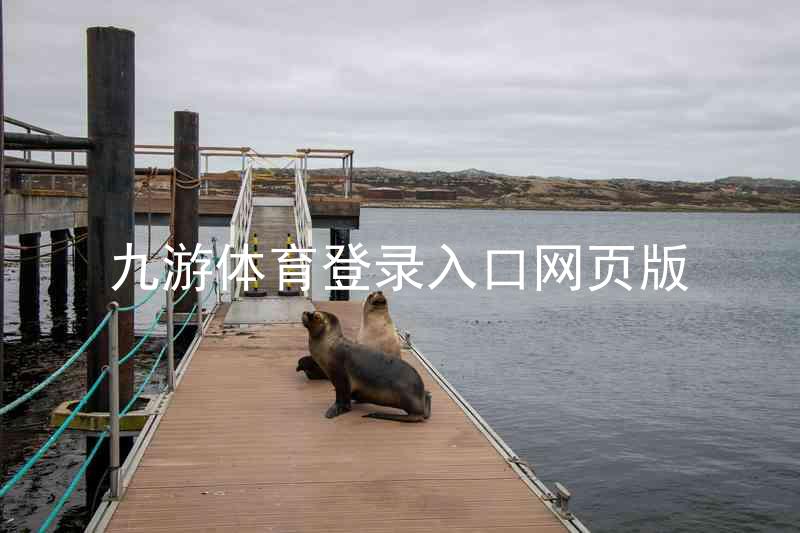 九游体育登录入口网页版